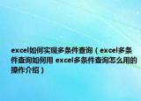 excel如何實現(xiàn)多條件查詢（excel多條件查詢?nèi)绾斡?excel多條件查詢怎么用的操作介紹）