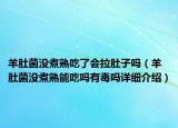 羊肚菌沒煮熟吃了會拉肚子嗎（羊肚菌沒煮熟能吃嗎有毒嗎詳細介紹）