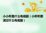 小小彬是什么電視?。ㄐ”虮蚨佳葸^什么電視?。? /></span></a>
                        <h2><a href=