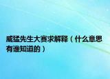 威猛先生大賽求解釋（什么意思 有誰知道的）
