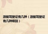 游艇駕駛證有幾種（游艇駕駛證有幾種級別）