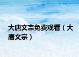 大唐文宗免費(fèi)觀看（大唐文宗）