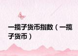 一攬子貨幣指數(shù)（一攬子貨幣）