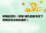 樹懶的百科（樹懶 哺乳綱披毛目下樹懶亞目動(dòng)物的通稱）