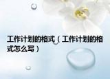 工作計劃的格式（工作計劃的格式怎么寫）