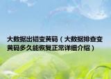 大數(shù)據(jù)出錯變黃碼（大數(shù)據(jù)排查變黃碼多久能恢復正常詳細介紹）