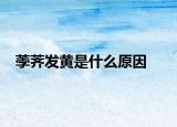 荸薺發(fā)黃是什么原因