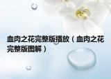 血肉之花完整版播放（血肉之花完整版圖解）