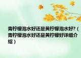 青檸檬泡水好還是黃檸檬泡水好?（青檸檬泡水好還是黃檸檬好詳細(xì)介紹）