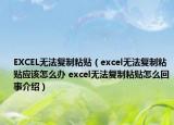 EXCEL無法復(fù)制粘貼（excel無法復(fù)制粘貼應(yīng)該怎么辦 excel無法復(fù)制粘貼怎么回事介紹）