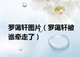 羅藹軒圖片（羅藹軒被誰牽走了）