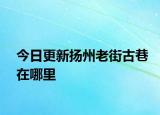 今日更新?lián)P州老街古巷在哪里