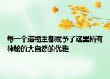 每一個(gè)造物主都賦予了這里所有神秘的大自然的優(yōu)雅