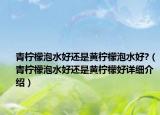 青檸檬泡水好還是黃檸檬泡水好?（青檸檬泡水好還是黃檸檬好詳細(xì)介紹）