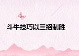 斗牛技巧以三招制勝