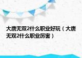 大唐無雙2什么職業(yè)好玩（大唐無雙2什么職業(yè)厲害）