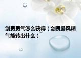 劍靈靈氣怎么獲得（劍靈暴風精氣能轉出什么）