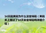 14天碼黃碼為什么沒(méi)變綠碼（黃碼未上報(bào)過(guò)了14天會(huì)變綠碼嗎詳細(xì)介紹）
