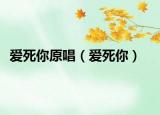 愛死你原唱（愛死你）