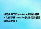 如何免費(fèi)下載youtube里面的視頻（如何下載Youtube視頻-無(wú)需插件簡(jiǎn)單三步驟）