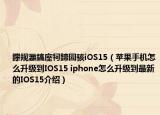 鑻規(guī)灉鎬庢牱鍗囩駭iOS15（蘋果手機怎么升級到IOS15 iphone怎么升級到最新的IOS15介紹）