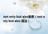 not only but also意思（not only but also 用法）