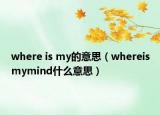where is my的意思（whereismymind什么意思）