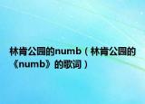 林肯公園的numb（林肯公園的《numb》的歌詞）