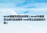 excel表格怎樣自動排序（excel中表格怎么進行自動排序 excel怎么自動排序介紹）