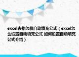 excel表格怎樣自動填充公式（excel怎么設置自動填充公式 如何設置自動填充公式介紹）