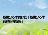 核桃分心木的好處（核桃分心木的好處與功效）