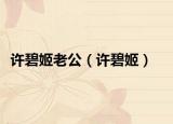 許碧姬老公（許碧姬）