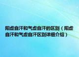陽虛自汗和氣虛自汗的區(qū)別（陽虛自汗和氣虛自汗區(qū)別詳細介紹）