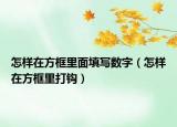 怎樣在方框里面填寫數字（怎樣在方框里打鉤）