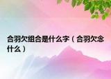 合羽欠組合是什么字（合羽欠念什么）