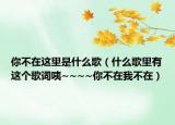 你不在這里是什么歌（什么歌里有這個歌詞咦~~~~你不在我不在）