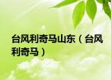 臺(tái)風(fēng)利奇馬山東（臺(tái)風(fēng)利奇馬）