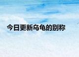 今日更新烏龜?shù)膭e稱