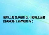 葡萄上有白點是什么（葡萄上面的白點點是什么詳細介紹）