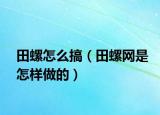 田螺怎么搞（田螺網(wǎng)是怎樣做的）