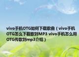 vivo手機OTG如何下載歌曲（vivo手機OTG怎么下載歌到MP3 vivo手機怎么用OTG傳歌到mp3介紹）