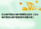 紅心柚子和白心柚子的樹怎么區(qū)分（紅心柚子和白心柚子的區(qū)別不詳細(xì)介紹）