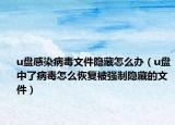 u盤感染病毒文件隱藏怎么辦（u盤中了病毒怎么恢復(fù)被強(qiáng)制隱藏的文件）