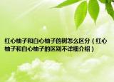 紅心柚子和白心柚子的樹(shù)怎么區(qū)分（紅心柚子和白心柚子的區(qū)別不詳細(xì)介紹）