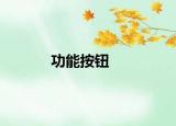 功能按鈕