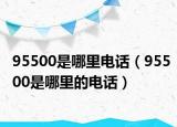 95500是哪里電話（95500是哪里的電話）