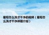 葡萄怎么洗才干凈的視頻（葡萄怎么洗才干凈詳細介紹）