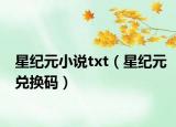 星紀(jì)元小說txt（星紀(jì)元兌換碼）