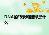 DNA的轉(zhuǎn)錄和翻譯是什么