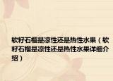 軟籽石榴是涼性還是熱性水果（軟籽石榴是涼性還是熱性水果詳細介紹）